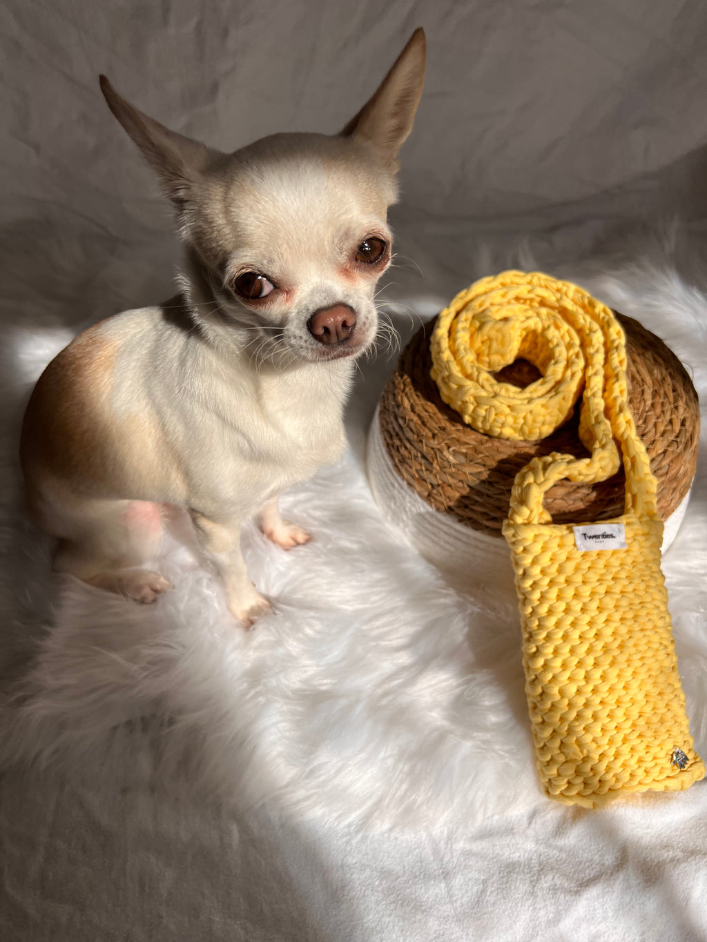 PHONE BAG